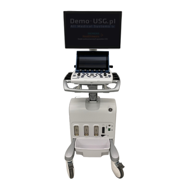 GE Healthcare VIVID S60N